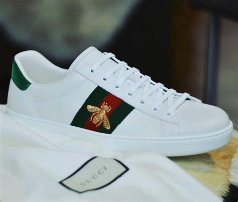 bambas gucci|gucci sneakers for women.